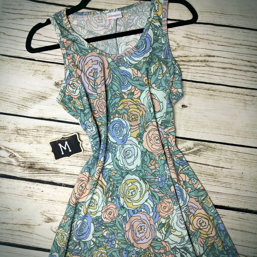 LuLaRoe Dani Dress